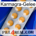 Karmagra Jelly levitra1